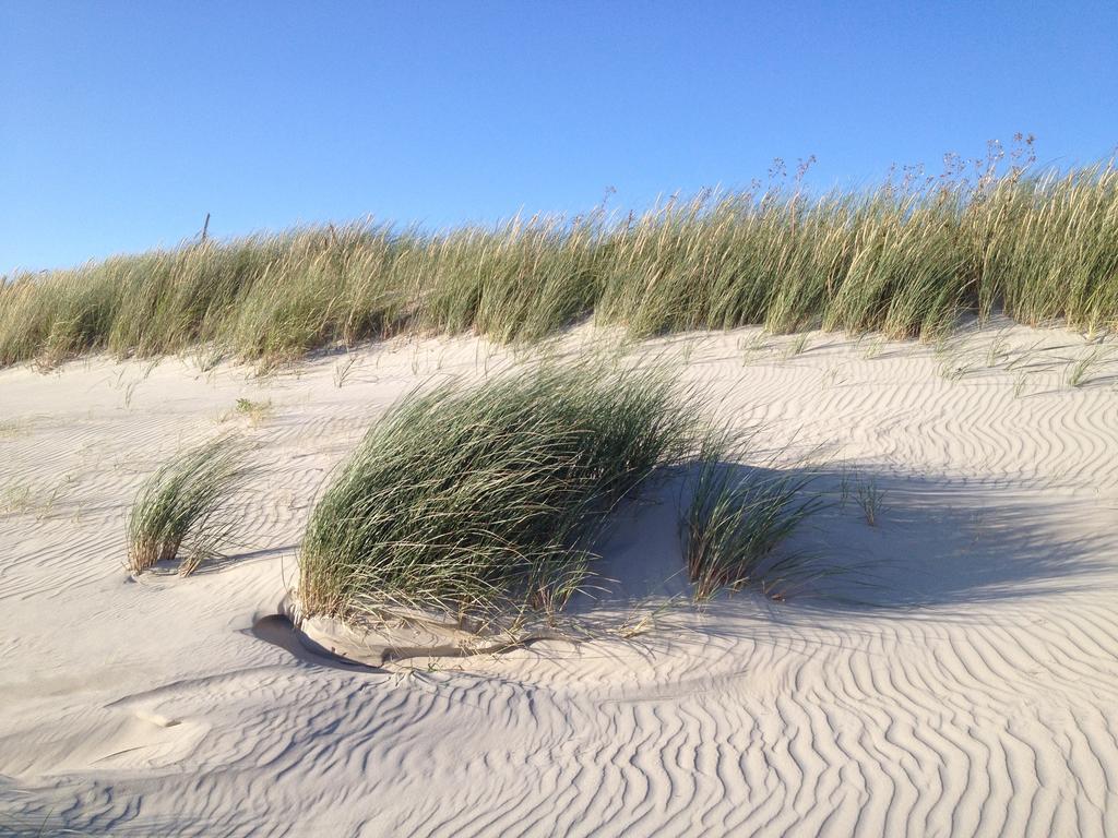 Hotel Twilling Sankt Peter-Ording Esterno foto